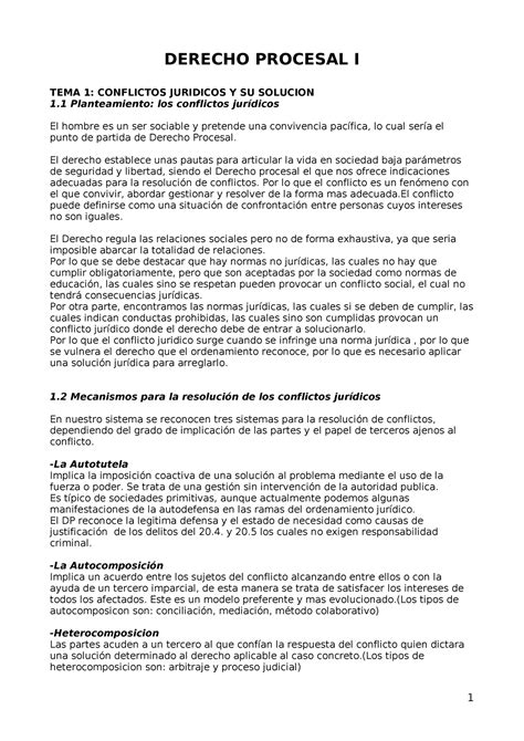 Apuntes Procesal Solo Un Tema Derecho Procesal I Tema Conflictos