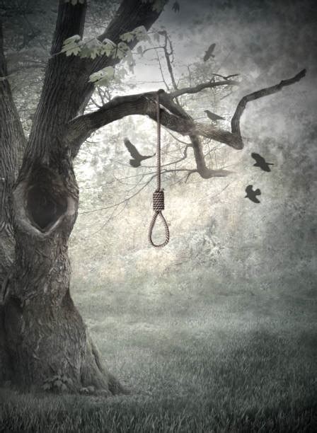 9000 Noose Stock Photos Pictures And Royalty Free Images Istock