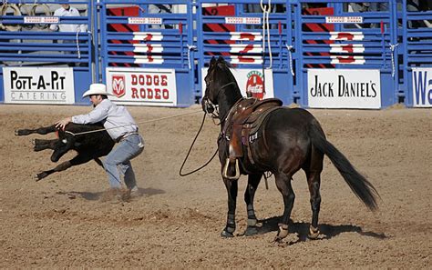 Earth, Sky & Beyond: Tie-Down Roping 36360