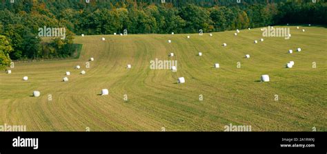 The Crop In The Fields Is Harvested Plowing And Sowing Of Winter Crops