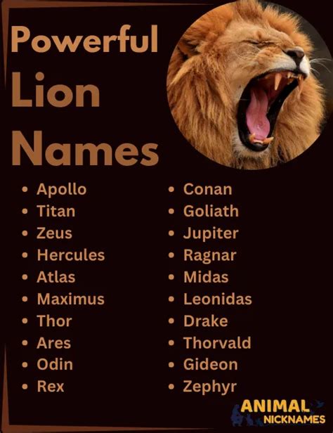 Top Lion Names Powerful Cute And Unique Name Ideas