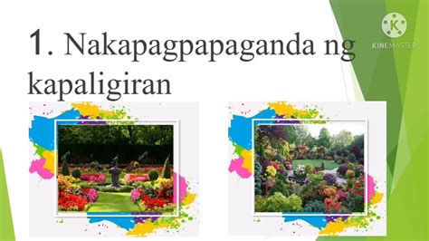 Pagpapakita Ng Pagtatanim Ng Halamang Ornamental