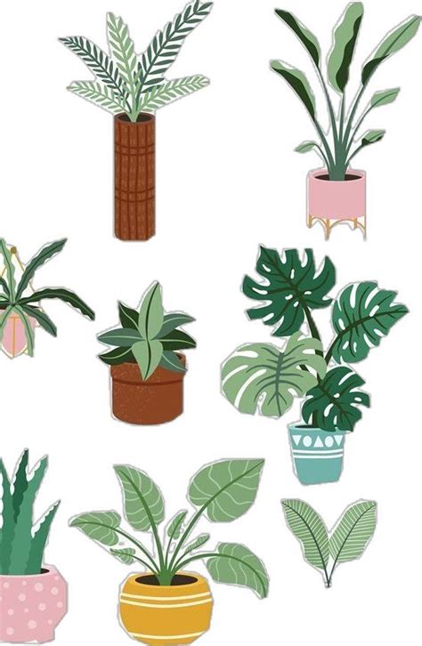 Pin By Abbie Louise On My Cutouts Plant Art Print Plant Art Plant