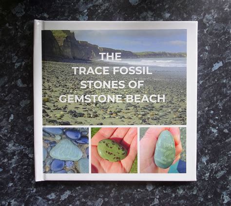 Trace Fossil Stone Becomes Fourth Entry In Tumblestonetwos Hall Of