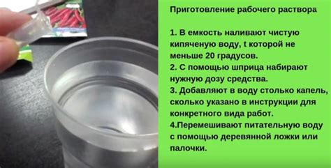 Эпин для растений. Инструкция по применению для рассады, комнатных, хвойных