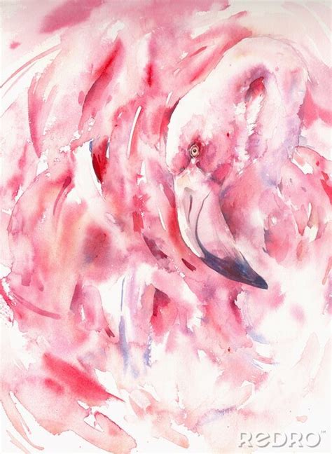 Bild Abstrakter Aquarell Flamingo Nach Ma Myredro De