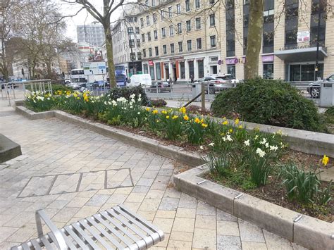 Flowers Plants Trees In Bristol Flickr