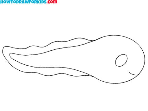 How to Draw a Tadpole - Easy Drawing Tutorial For Kids