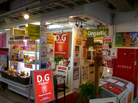 D.G SHOP webshopもうすぐ始動します！ | D.G Shop