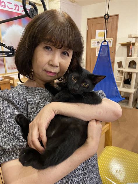 バクくんの卒業 多摩センターのねこカフェ「たまねこ」