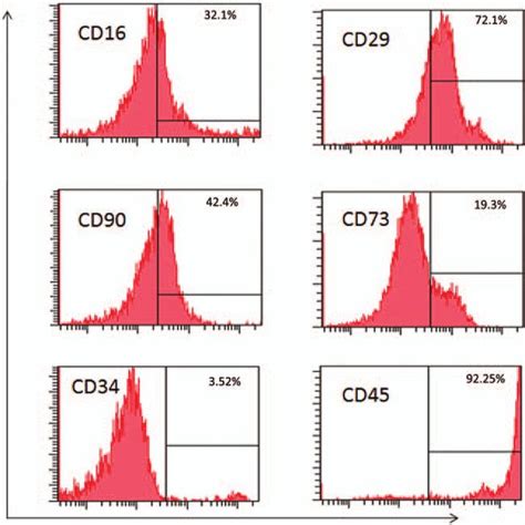 Flow Cytometry Analysis Of The Uc Mscs A Expression Of Surface