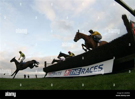 steeplechase fall  res stock photography  images alamy