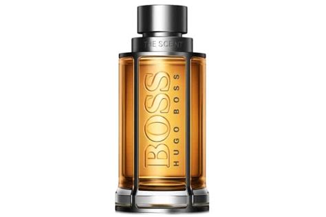 16 Best Summer Colognes And Fragrances For Men Man Of Many