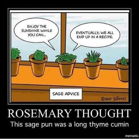 An Herb Chuckle For The Day Herb Puns Puns Plant Jokes