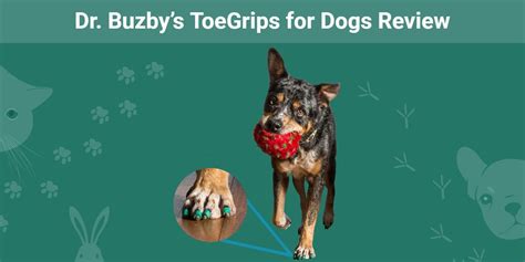 Dr Buzbys Toegrips For Dogs Review 2024 An Experts Breakdown Dogster