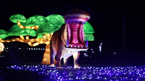 Photos: Dallas Zoo Lights – NBC 5 Dallas-Fort Worth