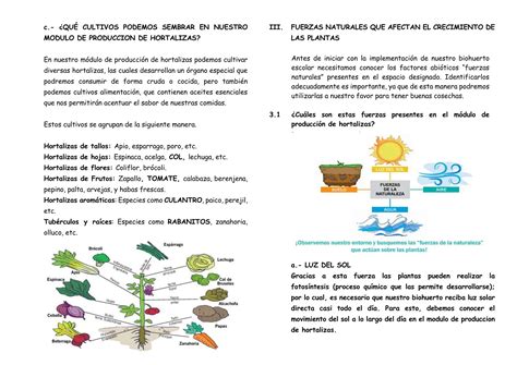 MODULO PRODUCCION HORTALIZAS Tecnico Productivo PPT