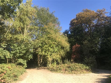 Habitats and Wildlife — Hampstead Heath - Conservation, Community and