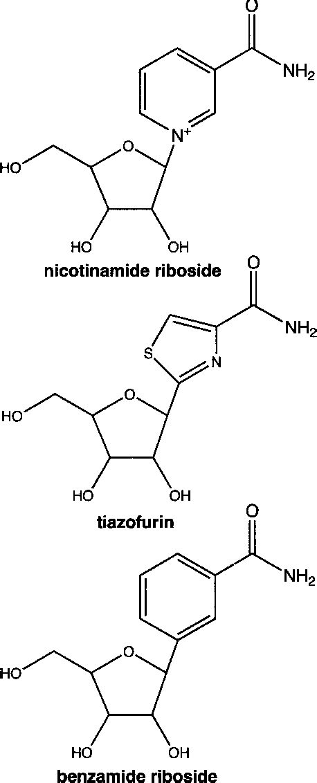 Pdf Discoveries Of Nicotinamide Riboside As A Nutrient And Conserved