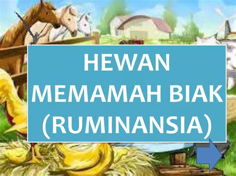 Memamah Biak Adalah 6