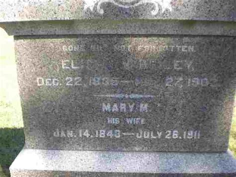 Elisha Vance Briley 1835 1902 Find A Grave Memorial