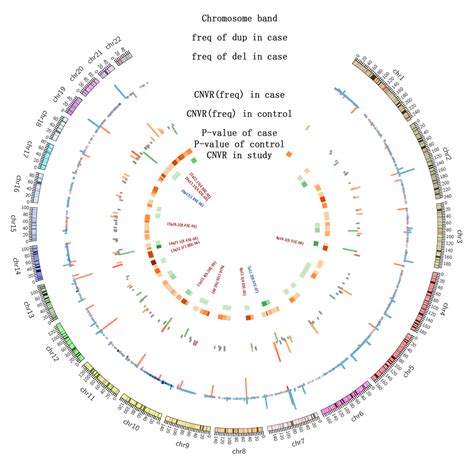 The Correlation Of Copy Number Variations With Longevity In A Genome