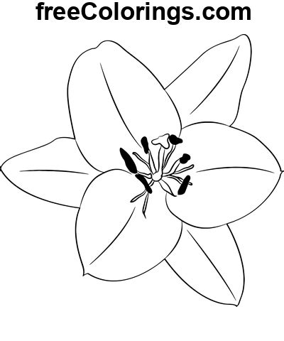 Fleur de lys oriental Coloriages gratuits à imprimer