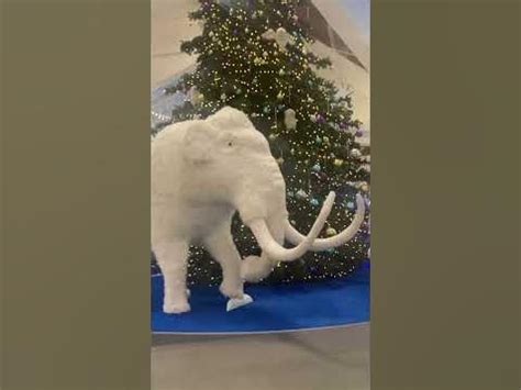 Ведь так не бывает на свете.. - YouTube