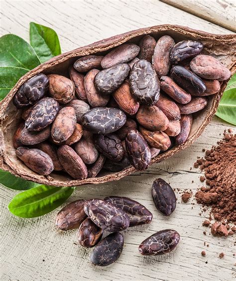 Cacao Beans: Health Benefits and Ways To Use – Healthy Blog