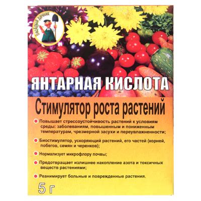 Янтарная кислота для комнатных растений - советы, рекомендации
