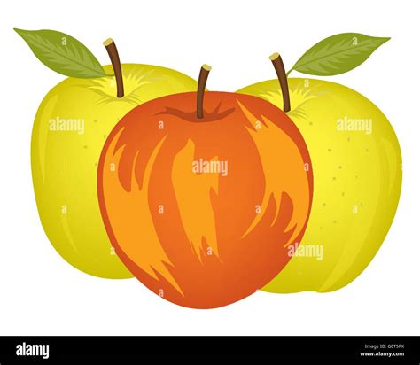 Three apples on white Stock Vector Image & Art - Alamy