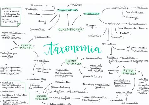 LOS SERES VIVOS TAXONOMÍA Mapa Mental