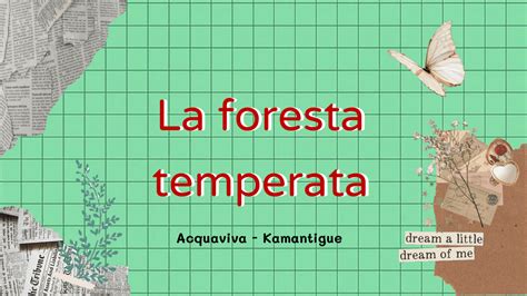 La Foresta Temperata Slide Di Scienze Della Terra Docsity