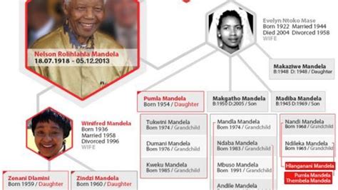 Nelson Mandela's Family Tree | Nelson mandela family, Mandela, Nelson ...