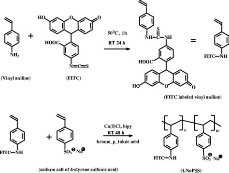 Synthetic Scheme For The Synthesis Of Fluorescent Polystyrene Sulfonate