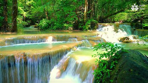 Let The Serenity Of Nature Wash Over You Hours Of Gentle Waterfall