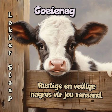 Goeienag Boodskap Goeie Nag Lekker Slaap Boodskap Rustige En Veilige