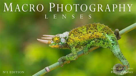 Black Friday Offer Free Macro Photography Tutorial