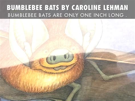 Bumblebee Bats By Caroline Lehman by Caroline Lehman