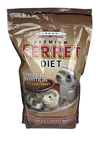 Best Ferret Foods Nutritious And Delicious Options For Your Furry Friend