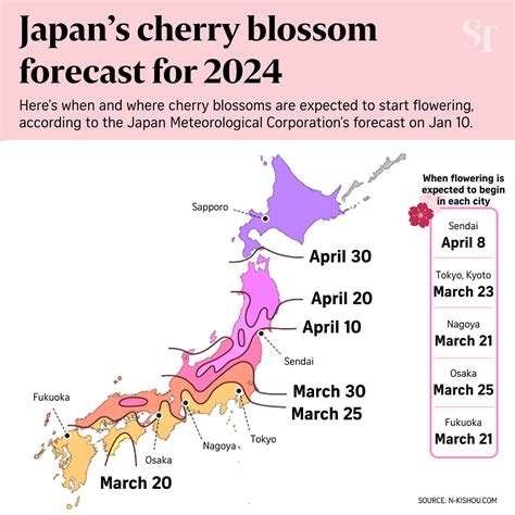 Japan Releases First Sakura Forecast For The Straits Times