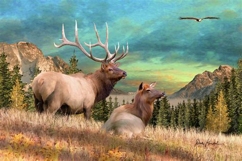 High Country Elk Painting By Dale Kunkel