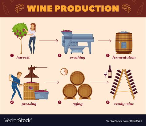 Wine production process cartoon flowchart Vector Image