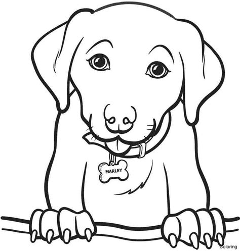 Simple Dog Coloring Pages at GetColorings.com | Free printable colorings pages to print and color