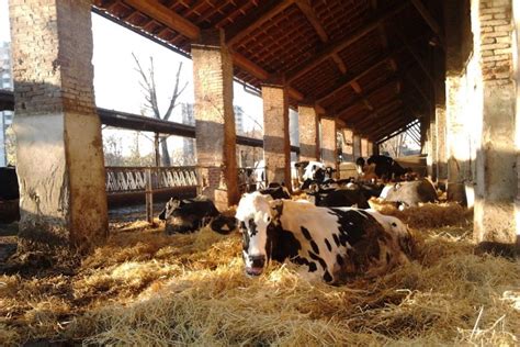 Parco Agricolo Ticinello Milanoguida Visite Guidate A Mostre E