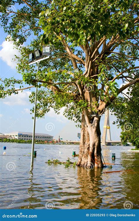 flooding  bangkok citythailand editorial stock photo image