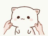 cute cat gif ideas   cute cat gif cat gif shot hair styles