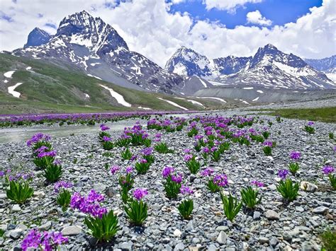 Guess the loving view, In Pakistan, Mountains and Nature waooo. : r ...