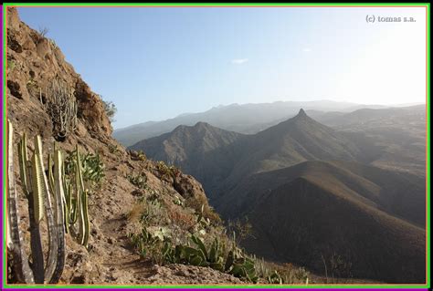 Tenerife Senderos Tenerife Senderos Arona Ladera Norte De