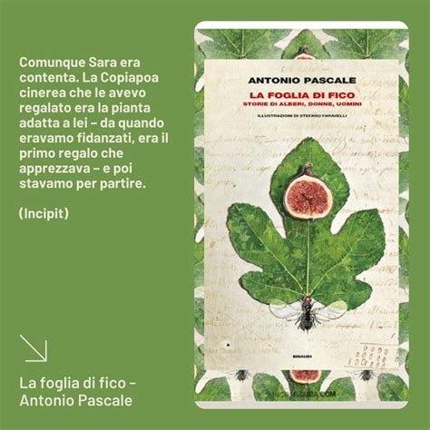 La Foglia Di Fico Antonio Pascale Incipit Incipitmania